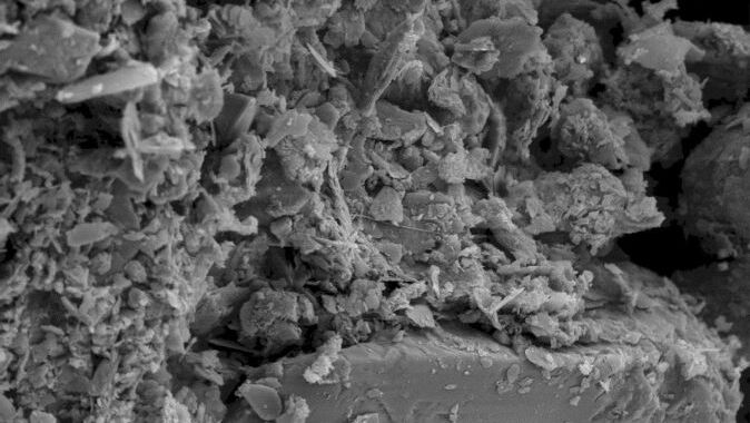 Scanning electron micrograph image of soil substrate.