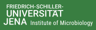 Text logo Institute of Microbiology at the Friedrich Schiller University Jena